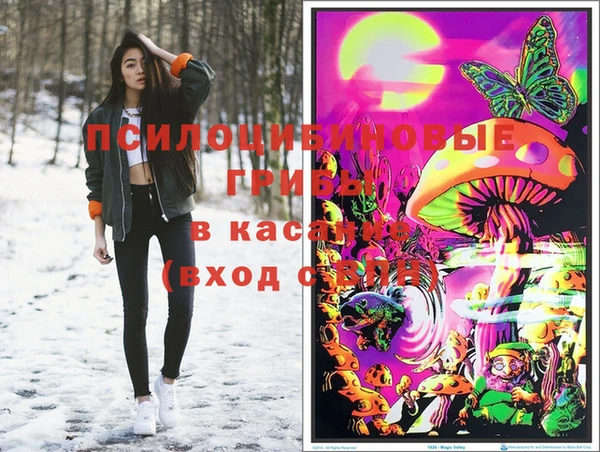 прущие грибы Ижевск