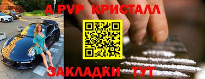 крисы Камышлов