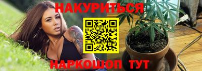 крисы Камышлов