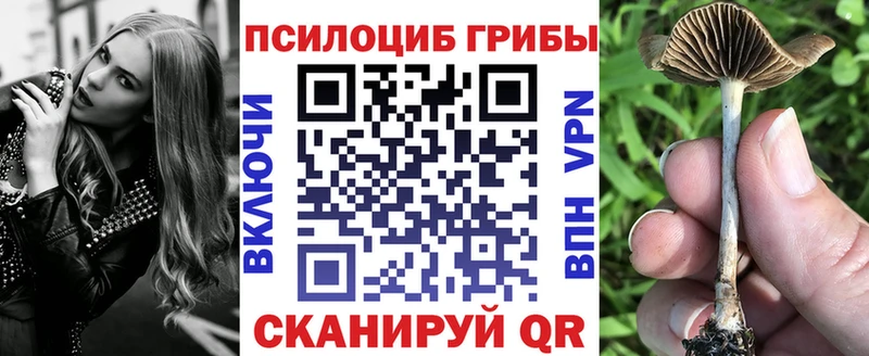 Псилоцибиновые грибы ЛСД блэк спрут как зайти Фрязино
