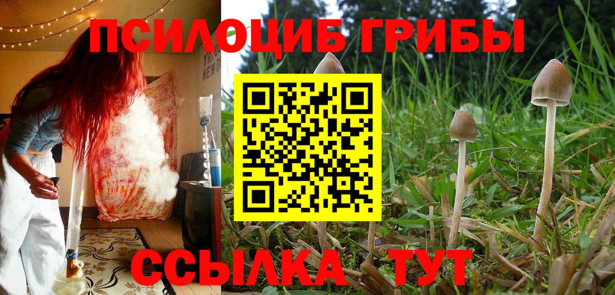 Фрязино  Галлюциногенные грибы прущие грибы  Галлюциногенные грибы Magic Shrooms  Вход с VPN 